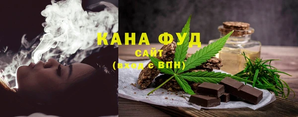 индика Покачи