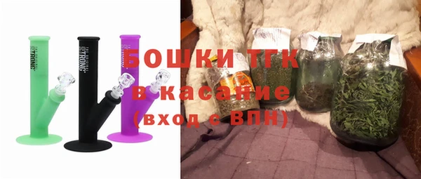индика Покачи