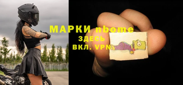 индика Покачи