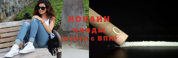индика Покачи