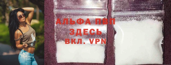 индика Покачи
