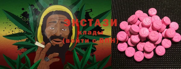 индика Покачи