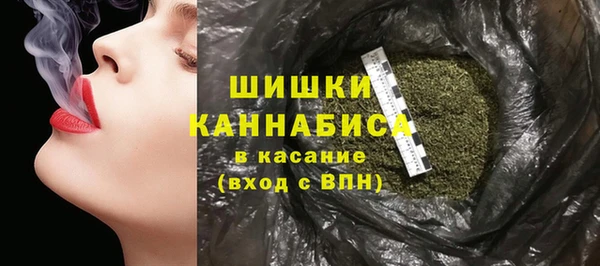 индика Покачи