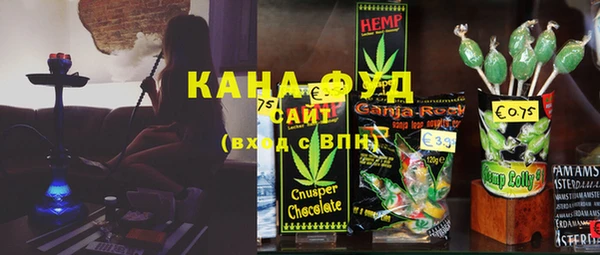 индика Покачи
