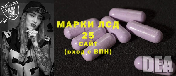 индика Покачи