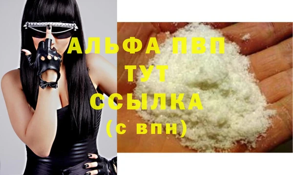 индика Покачи
